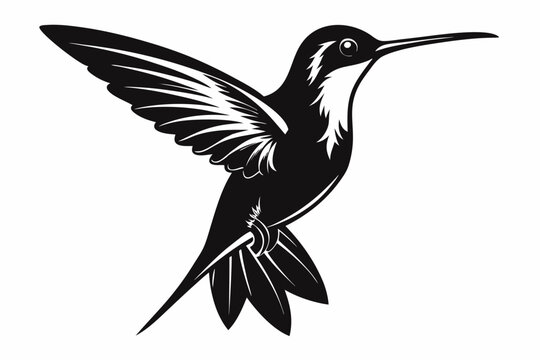 recommend clip art: Hummingbird silhouette vector, Flying bird illustration
