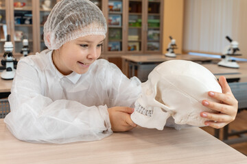 A pre-adolescent girl holds an anatomical model of a human skull in her hands. Schoolgirl in a white coat at a science lesson