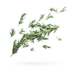 Obraz premium Fresh Rosemary Sprigs Falling on White Background.