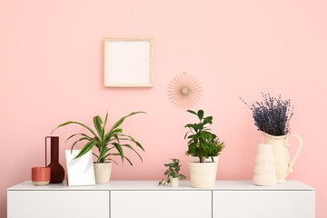 Green houseplants on chest of drawers near pink wall in room
