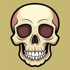 Obraz premium human skull illustration