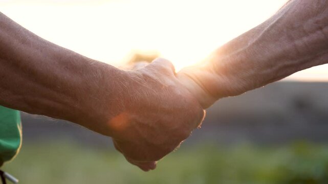 Extending helping hand to a loved one. A close up of a couple of elderly people holding each other's hands expressing support and care. Sunset background in a summer park. Family life