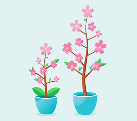 Obraz premium Sakura seedling and tree with flowers in a pot stock illustration