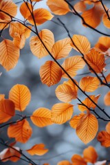 Obraz premium Golden autumn leaves on branches with blurred background