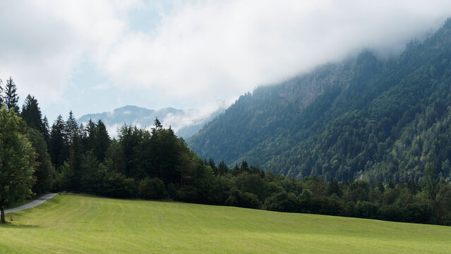Bayerisches Oberland. Forststra&szlig;e an K&uuml;hzagglstra&szlig;e am Fu&szlig;e des Bodenschneid- und Wallbergmassivs &uuml;ber Brandstatt, K&uuml;hzagl, Enterrottach und Monialm