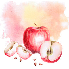 Red apple with slices and seeds on watercolor background. Isolated watercolor illustration for farm fruit design, agricultural fairs, organic product packaging. Harvesting in orchard