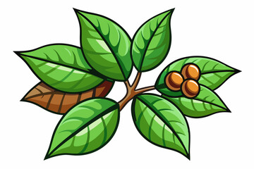 Coffee plants clipart, isolated vector illustration.
