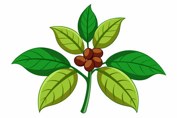 Coffee plants clipart, isolated vector illustration.
