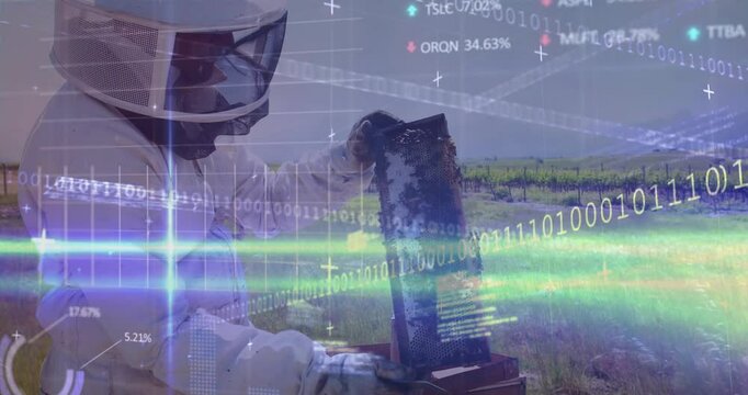Beekeeper inspecting hive with stock market data and binary code animation over
