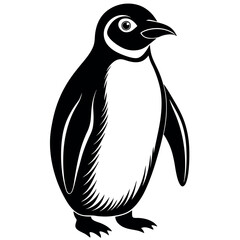 penguin on a white background free vector file