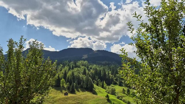 Cinematic mountain landscape in Rodnei National Park, Borsa, Bucovina region, Romania