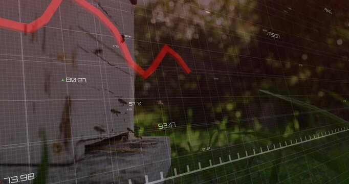 Red declining graph animation over bees around hive in garden
