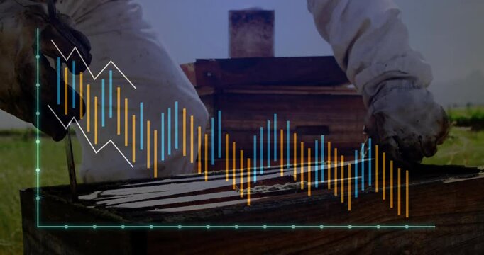 Graph animation over beekeeping activities showing fluctuating data trends