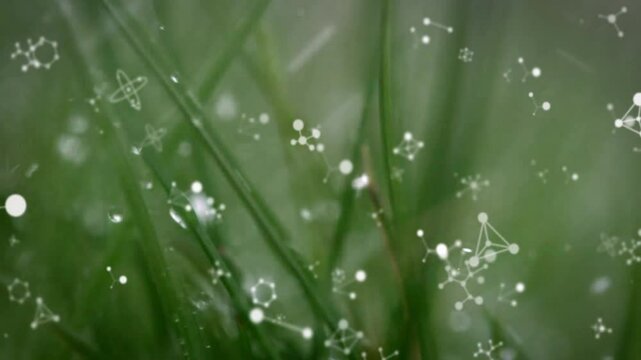 Molecular structures and connections animation over close-up of green grass