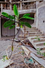Abandoned construction site of a hotel in the Canary Islands