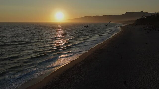 Flock of Pelicans fly over Malibu Beach toward golden ocean sunset