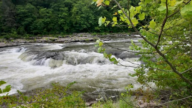 Scenic waterfall in Ohiopyle state park, Pennsylvania.