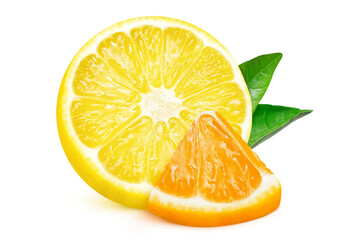 Lemon and orange slices on isolated white background
