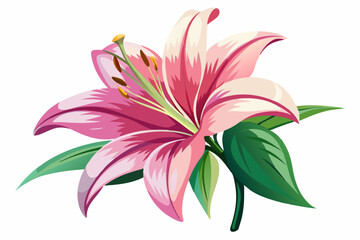 Lily Flower, watercolor clipart illustration with isolated background