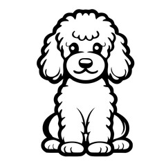 A cute white poodle dog with a fluffy coat and big eyes