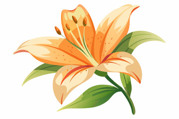 Lily Flower, watercolor clipart illustration with isolated background