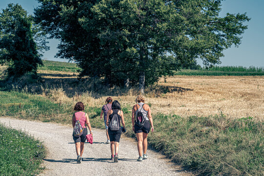Bologna province, Italy. Four women walking along the Path of the Gods in a hot summer day; near the borough of Cedrecchia. San Benedetto val di Sambro, Bologna Province, Emilia Romagna, Italy.
