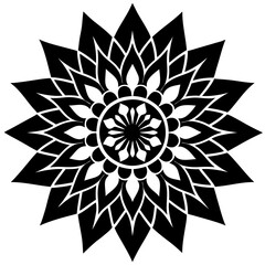 mandala design vector illustration