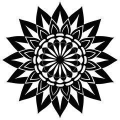 mandala design vector illustration