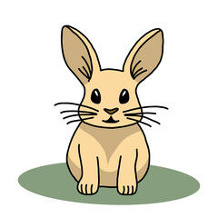 Fototapeta premium BUNNY SITTING ON THE GRASS - PNG