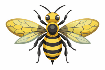 Bee, watercolor clipart illustration with isolated background.
