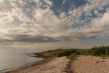 Overgrown baltic sea beach in Limbazi district, Latvia at summer