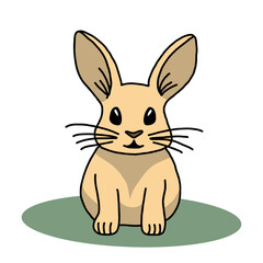 BUNNY SITTING ON THE GRASS