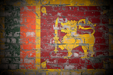 Flag of Sri Lanka on brick wall