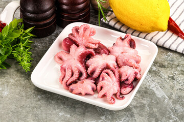 Marinated baby octopus snack appetizer