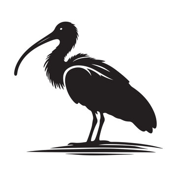 recommend clip art: Black Headed Ibis Silhouette Vector Illustrations - Perfect for Designers