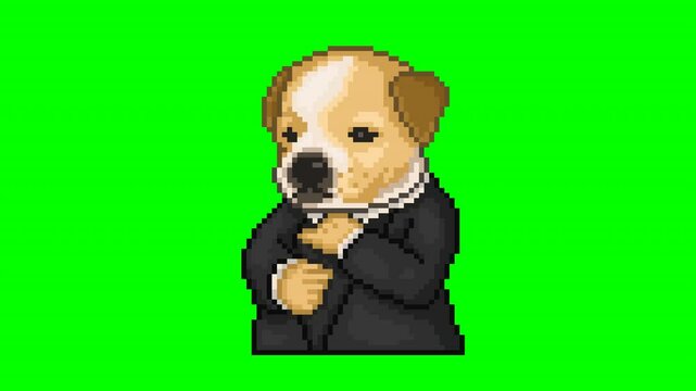 Elegant little dog, pixel art animation meme