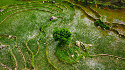 Rice terraces and a stream in the mountains of Sa Pa, Vietnam, seen from above