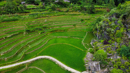 Rice terraces and a stream in the mountains of Sa Pa, Vietnam, seen from above