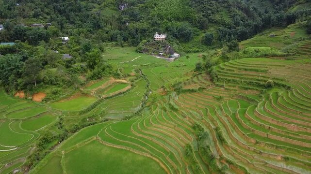 Flying over rice terraces in the mountains of Sa Pa,  Vietnam, Asia