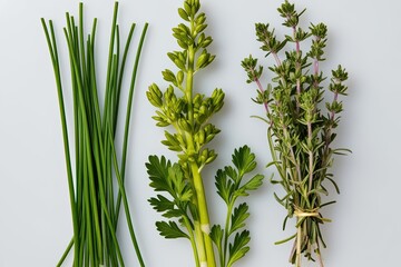 Obraz premium Aromatic Herb Bloom Collection with Chives Tarragon and Marjoram on Clear Background