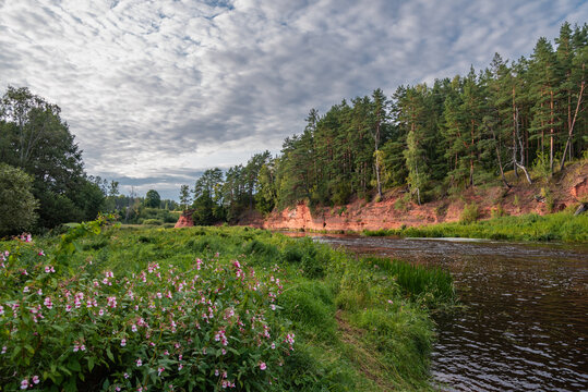 Red cliffs (latvian: Sarkanās klintis) on Salaca river in Latvia at summer
