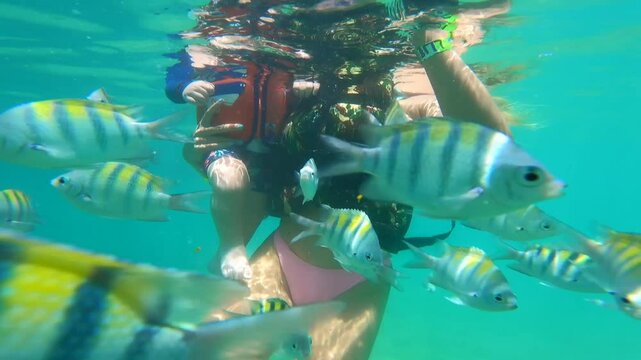 Diving with the fishes in Porto de Galinhas in Pernambuco, Brazil