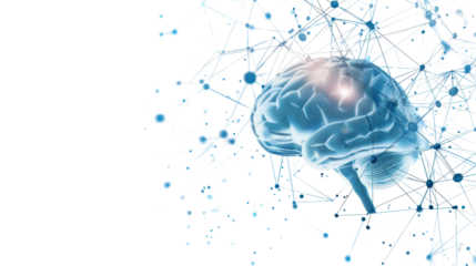 Brain synapse isolated on white background