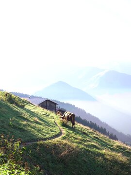 Mountain hike