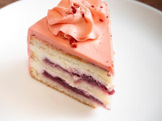 close-up of a piece of delicious layer cake on a white plate.