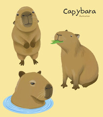 Cute adorable capybara hand drawn character illustration set