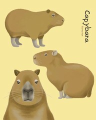 Cute adorable capybara hand drawn character illustration set