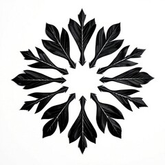 Fototapeta premium A Mandala Collection of Geometric Harmony and Unique Design
