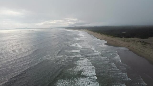 Tofino Rugged Coastline