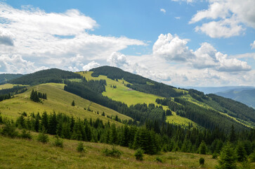 Fototapeta premium Landscape with wooden shepherd's house in the distance surrounded rolling hills covered in lush green grass and dotted with coniferous trees. Carpathian Mountains, Ukraine